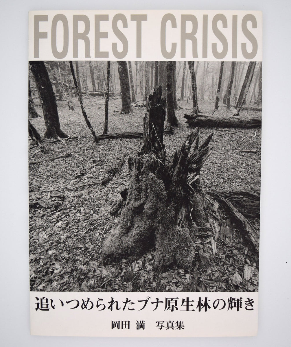 岡田満「追いつめられたブナ原生林の輝き」 – Dohjidai Gallery
