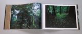 平寿夫「熊野 自然崇拝の聖地 Sanctuary of Nature Worship KUMANO」